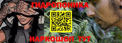 прущие крисы Краснознаменск