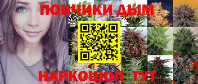 прущие крисы Краснознаменск
