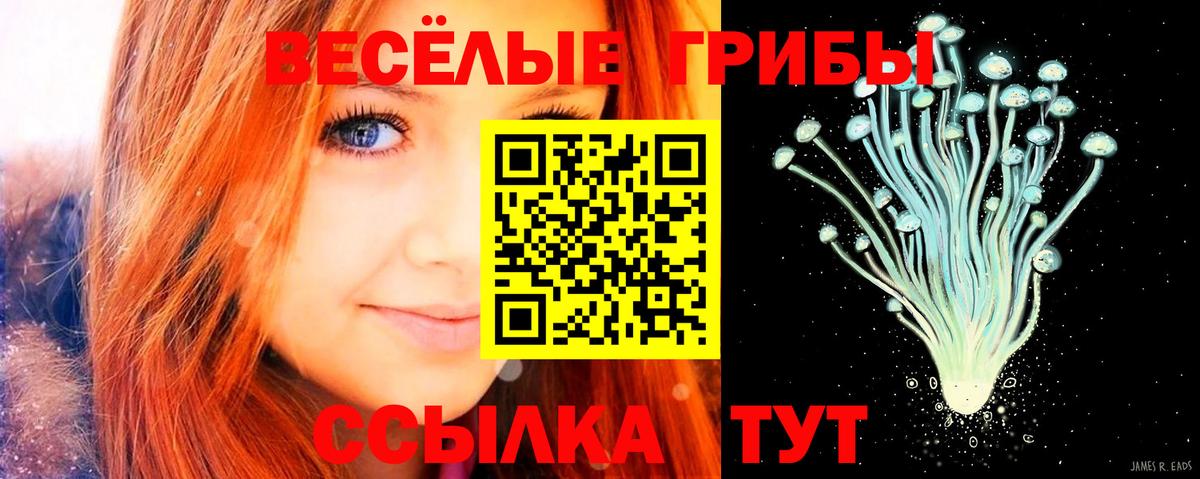 Каннабис Красноармейск