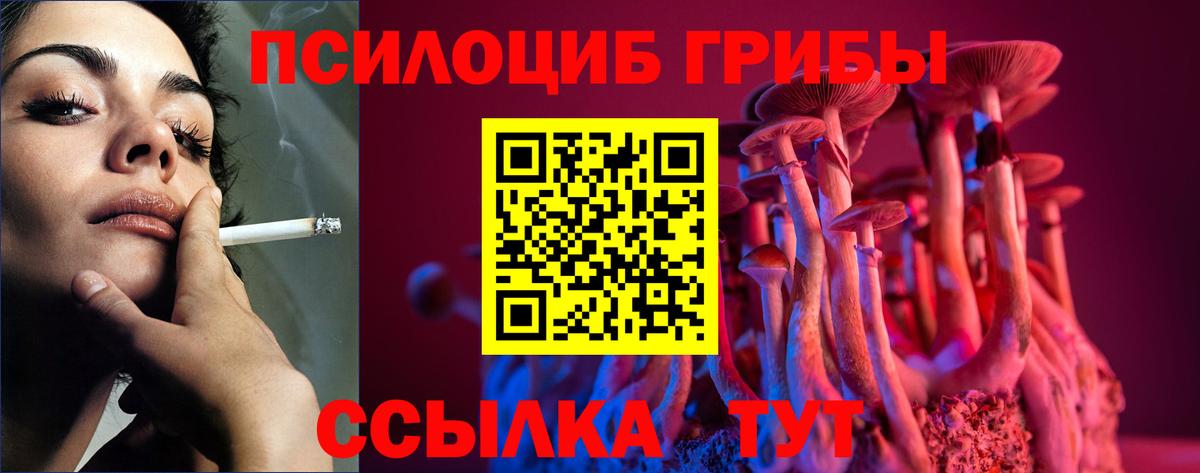 Галлюциногенные грибы Cubensis Красноармейск